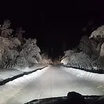 Elvestua