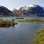 Elvestua