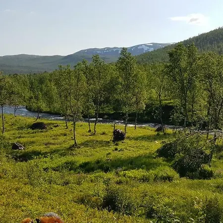 Elvestua Casa de Férias Gibostad