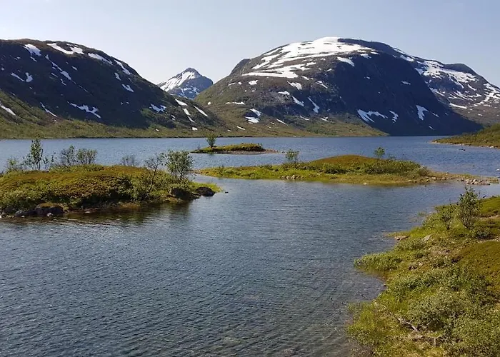 Elvestua