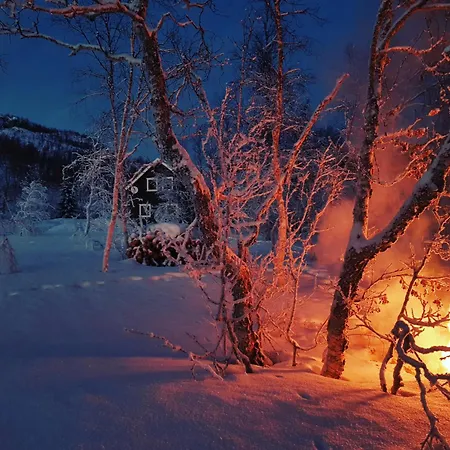 Elvestua Tatil Evi *
